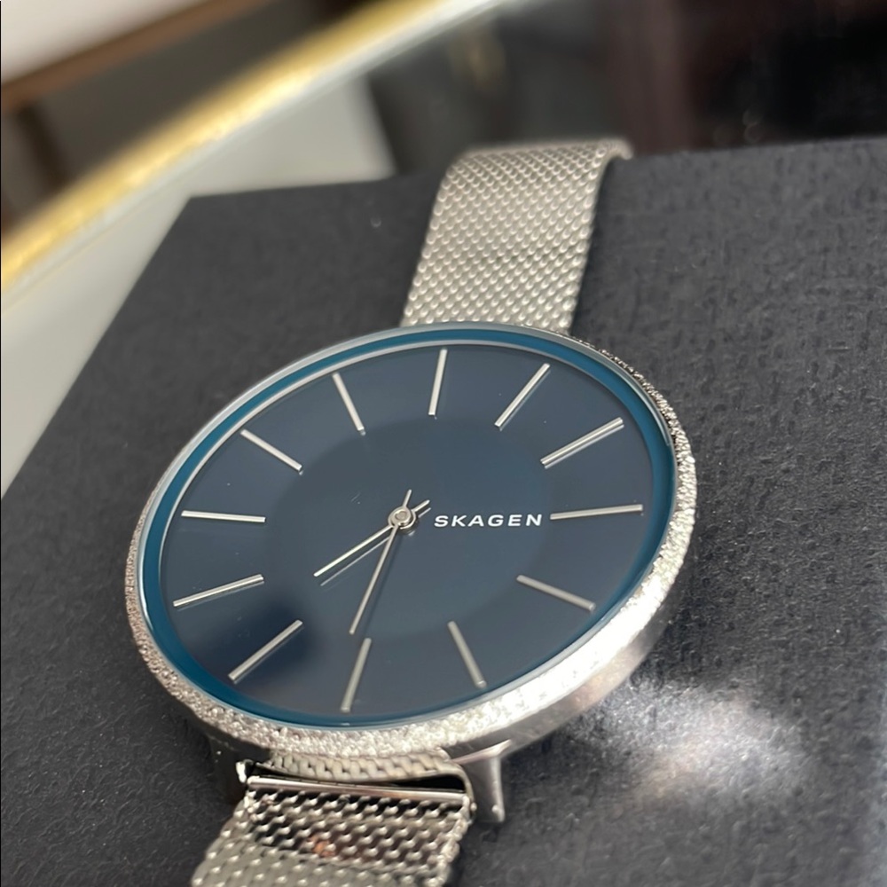 Skagen Karolina Blue Dial Ladies Watch SKW2725 - Picture 11 of 11